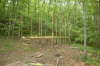 Site2